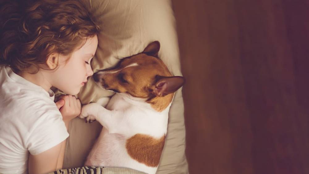 la normandise une histoire de famille et dexport