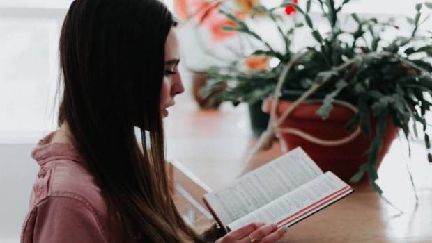 liseg voit lavenir en grand