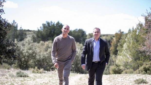 le petit olivier la belle histoire de deux amis en provence