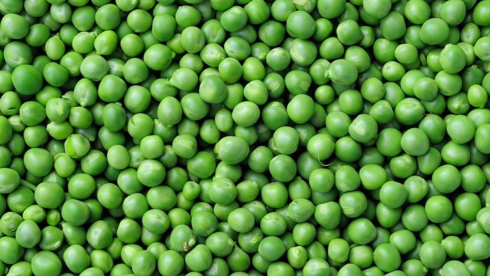 bonduelle les secrets dune incroyable longevite