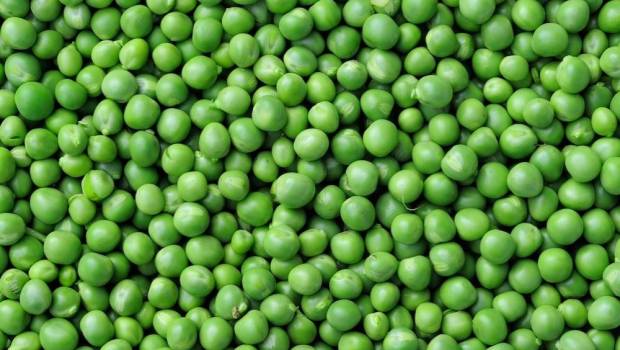 bonduelle les secrets dune incroyable longevite