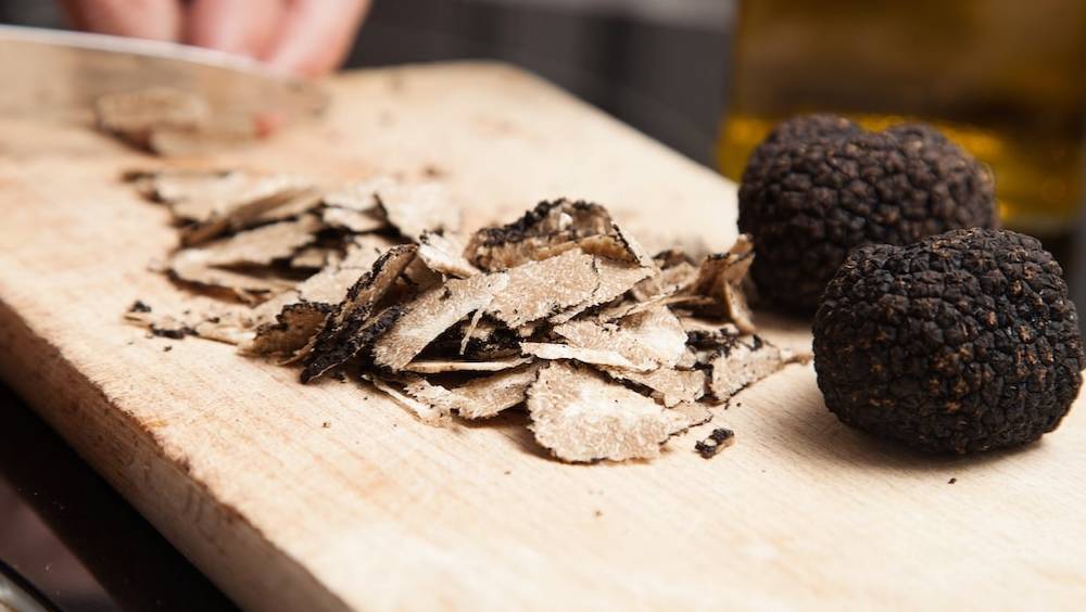 domaine du grandmerlhiot le plus grand domaine truffier du perigord