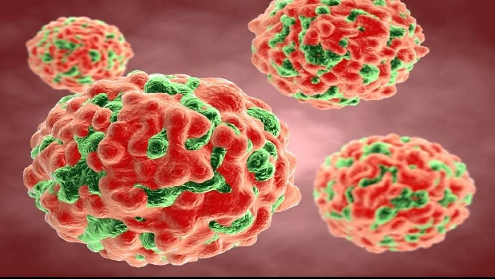 allecra therapeutics la start up qui veut reinventer les antibiotiques