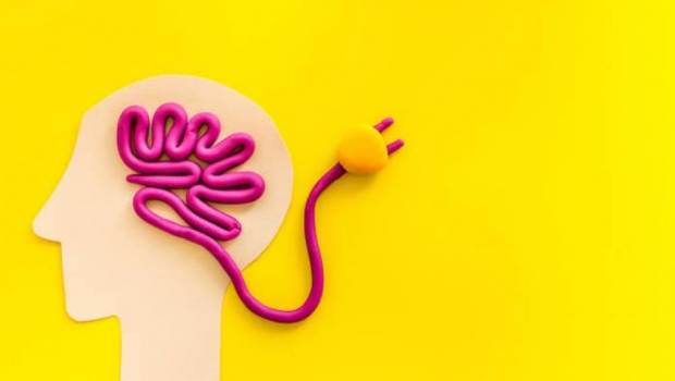 max piccinini nous sommes les victimes permanentes dune surcharge dinformations