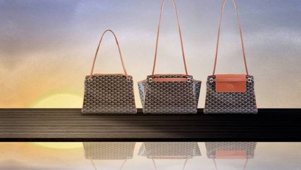 pour goyard laffaire est deja dans le sac