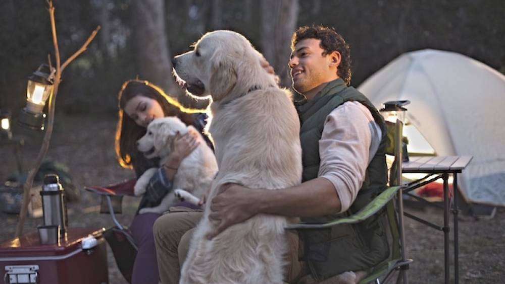 ceva une pme qui prend soin des animaux