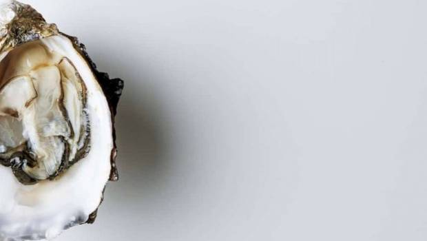 medithau un petit empire autour de lhuitre