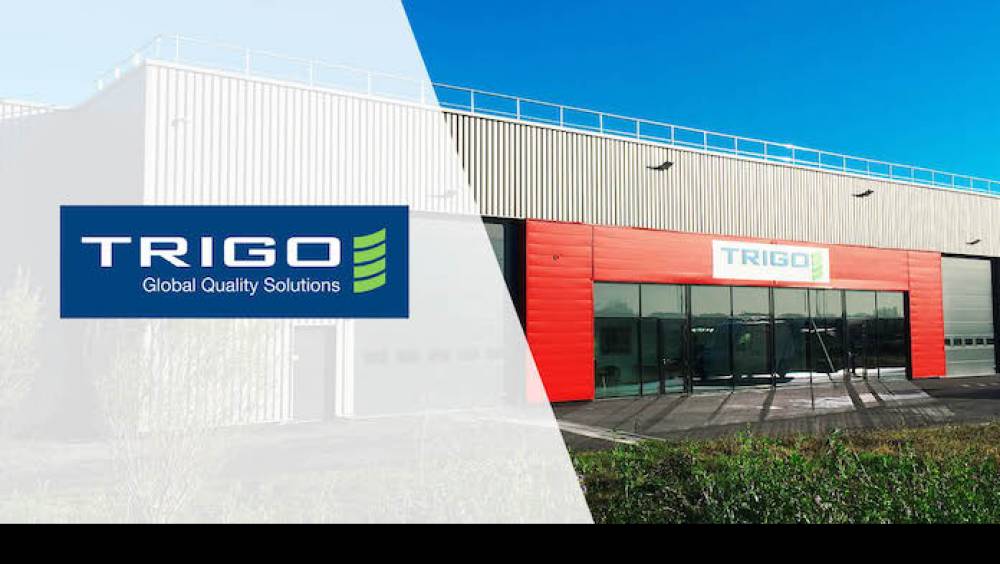 automobile trigo renove les vehicules doccasion