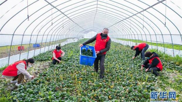 coronavirus economie numerique chine