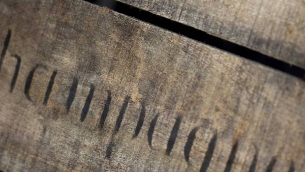 vitalie la nouvelle vitalite de tattinger