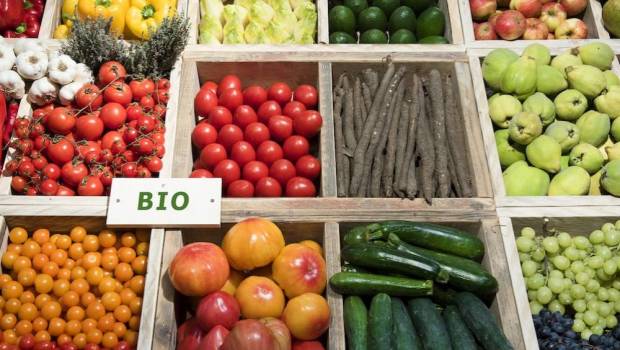 marche du bio un essor exceptionnel