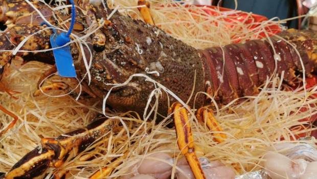 boulogne billancourt poissonnerie empereur