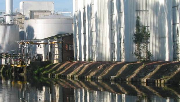 agroalimentaire lesaffre senracine en chine