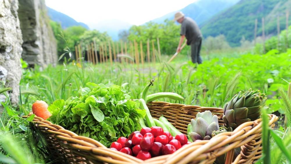 quand le business du terroir attire les startups et le e commerce