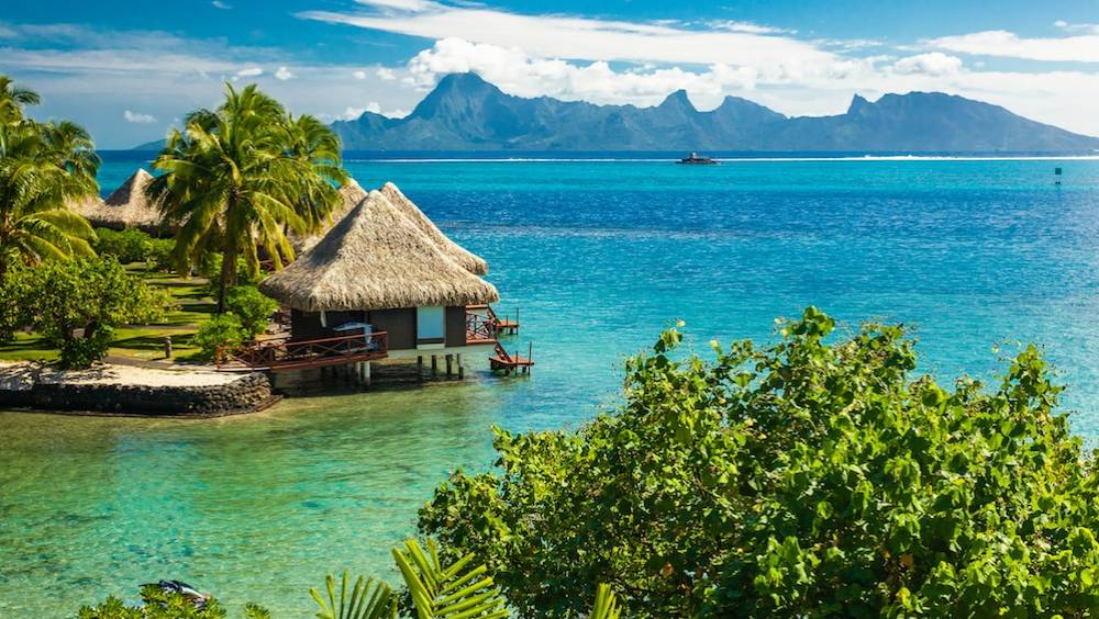 entreprendre a tahiti le nouvel eldorado