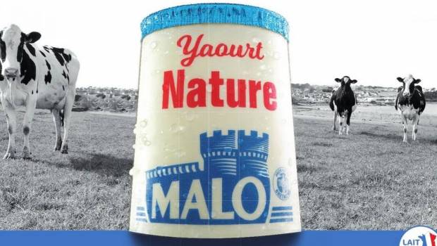malo la laiterie bretonne qui fait peur a danone