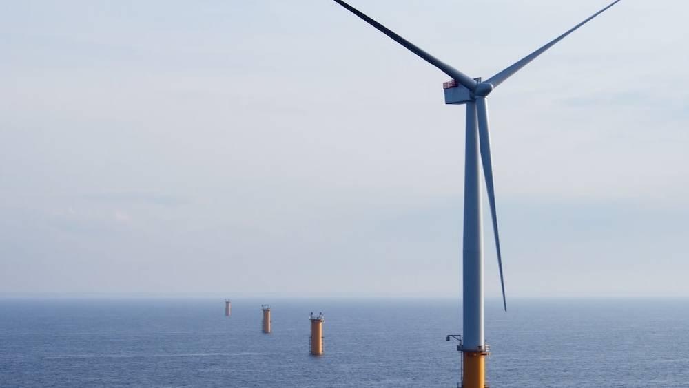 la bretagne de plus en plus divisee sur les eoliennes une menace pour la faune et la flore