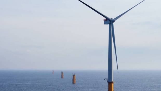 la bretagne de plus en plus divisee sur les eoliennes une menace pour la faune et la flore