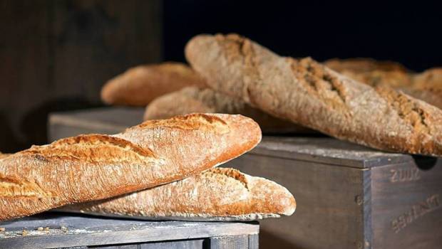 le boulanger industriel menissez met 100 me sur son site de maubeuge