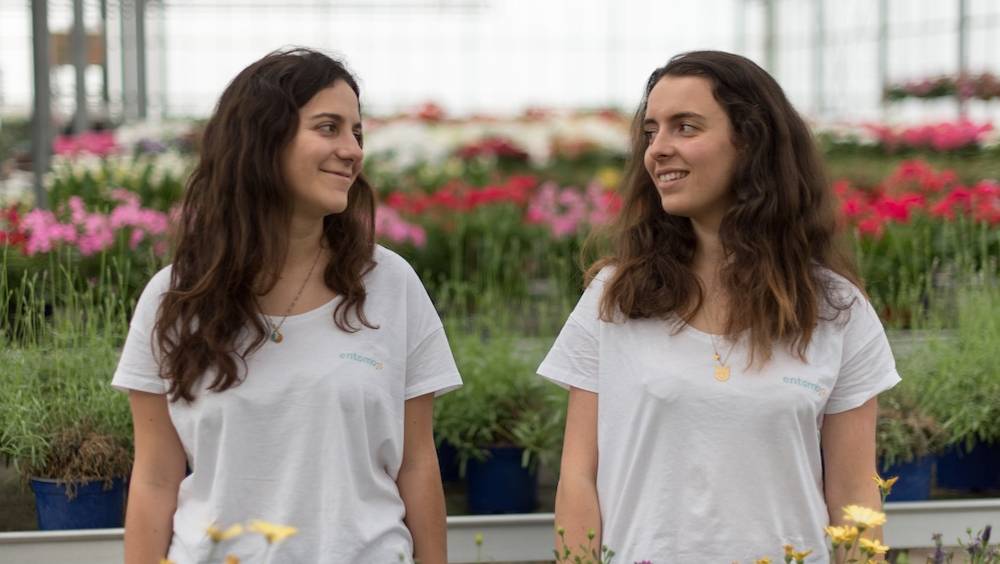 tomojo deux entrepreneurses qui reinventent la pet food a base dinsectes