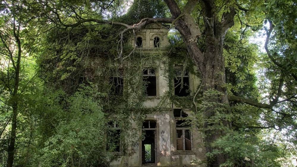 immobilier le genealogiste successoral au secours des coproprietes