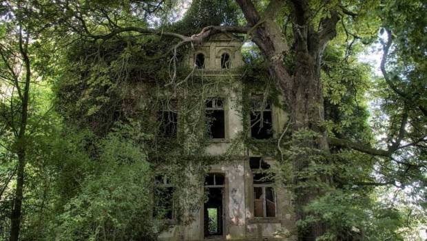 immobilier le genealogiste successoral au secours des coproprietes