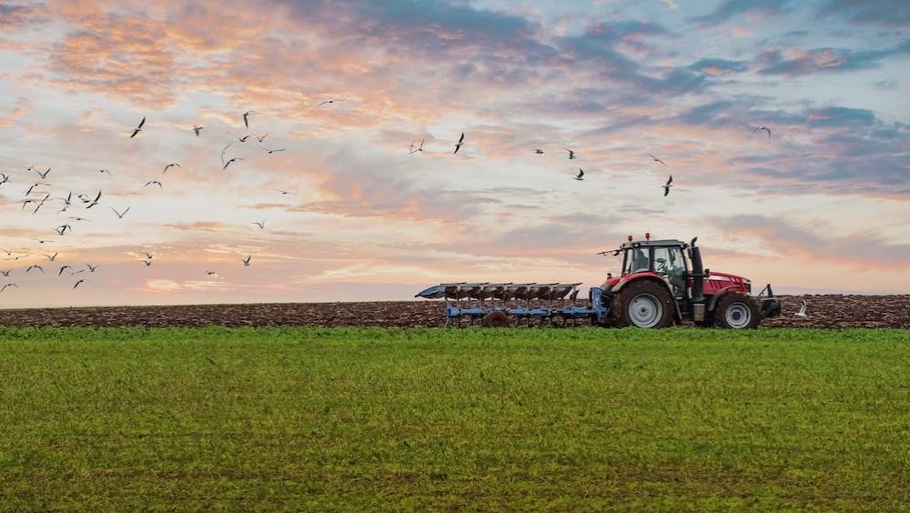 bonduelle veut diversifier son offre et consolider son reseau de producteurs