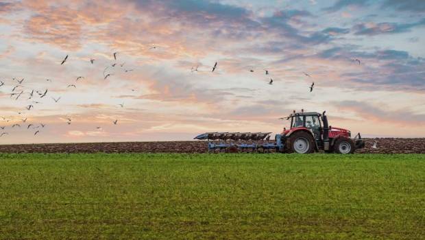 bonduelle veut diversifier son offre et consolider son reseau de producteurs