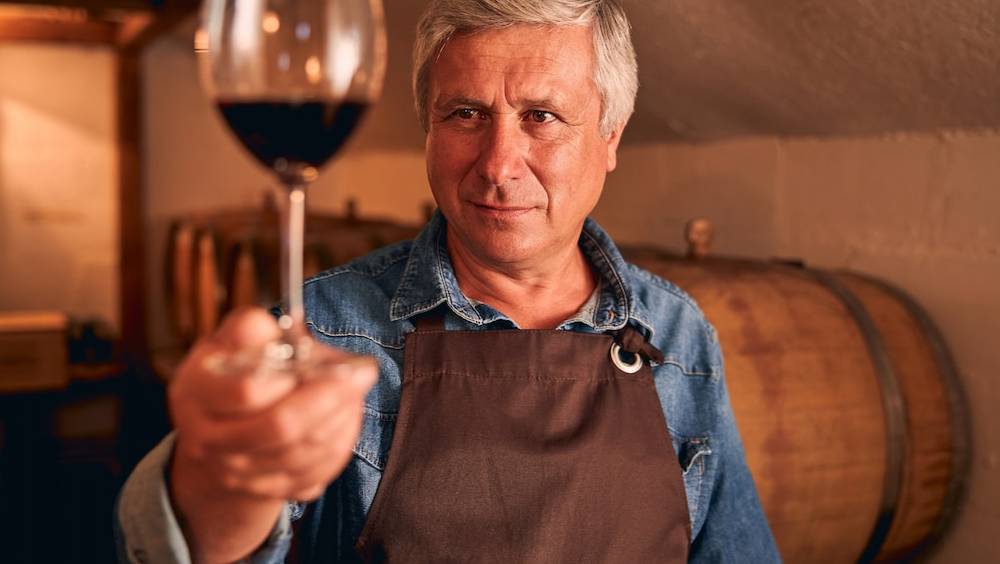 covigneron simmerger dans la vie dun vigneron