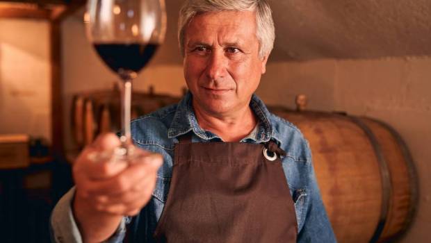 covigneron simmerger dans la vie dun vigneron