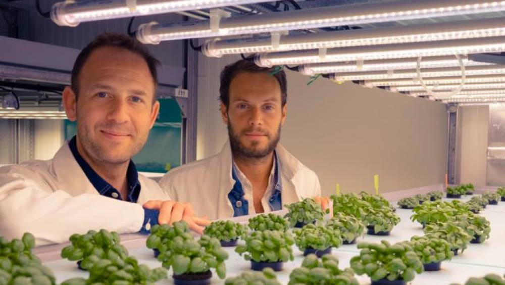 start up avec 42 millions deuros les femmes verticales de jungle peuvent voir haut