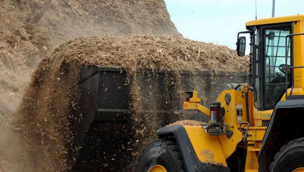 ameublement pourquoi p3g et alsapan fusionnent ils