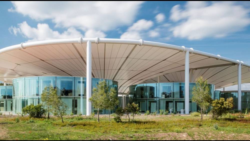 thecamp se recentre sur la transformation des organisations grace a lintelligence collective