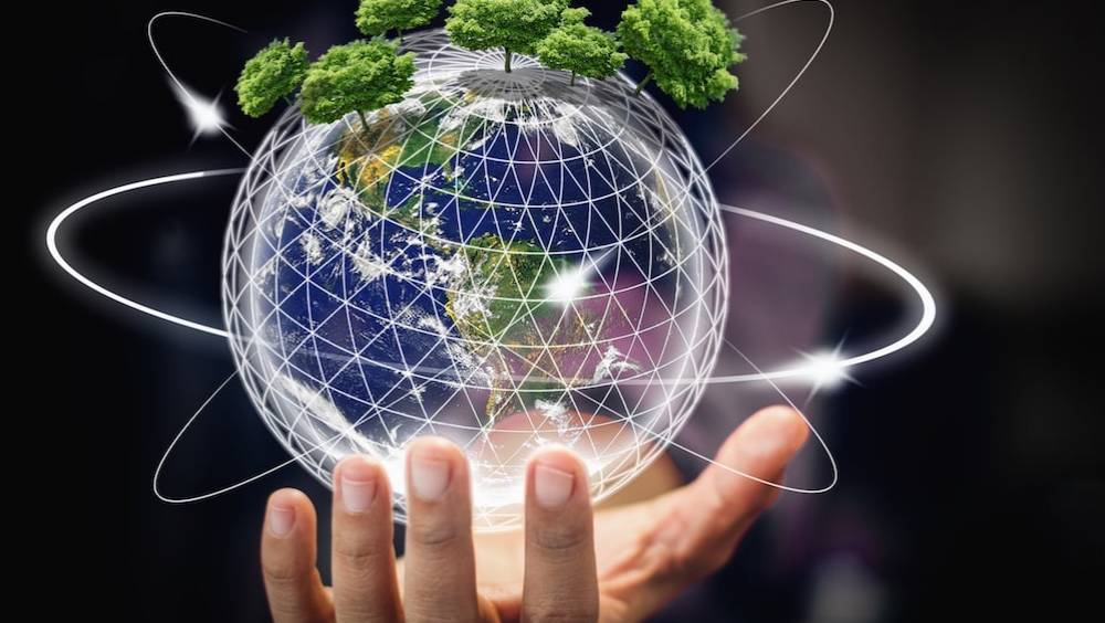 biodiversite la prise de conscience de la finance