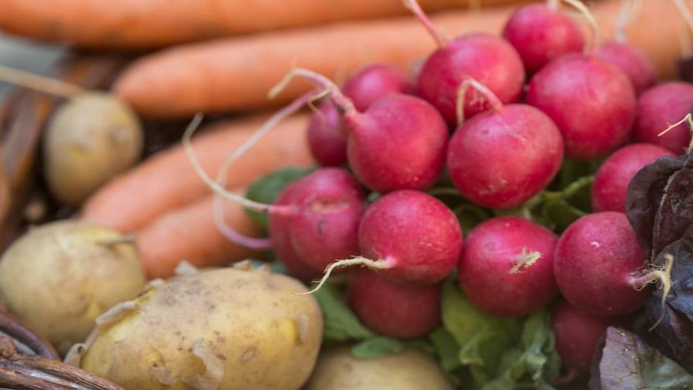 bio et circuit court le nouvel eldorado des consommateurs