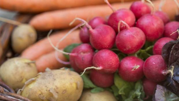 bio et circuit court le nouvel eldorado des consommateurs