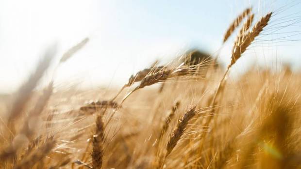 ces entrepreneurs qui sinstallent a la campagne