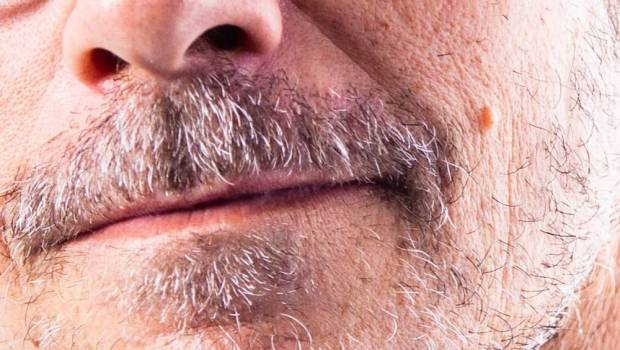 stedy la crise des semi conducteurs penalise nos pme