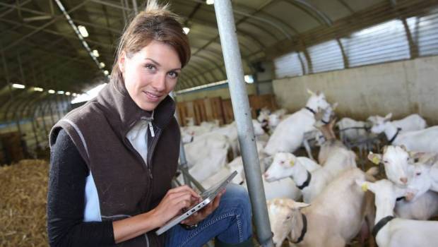 circuits courts relocalisations vers un retour du fabrique en france