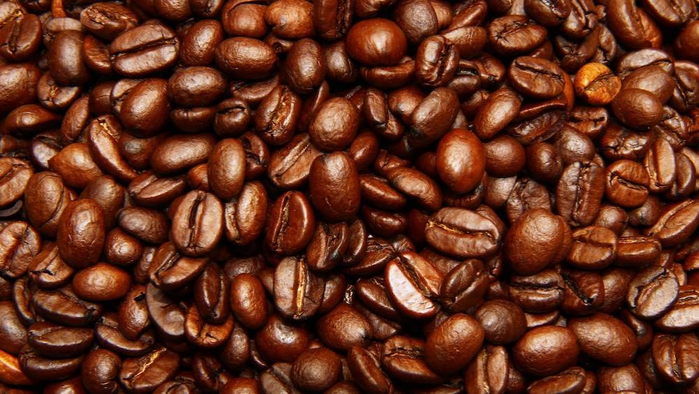 malongo investit 8 millions deuros