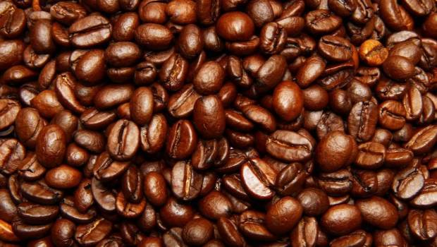 malongo investit 8 millions deuros