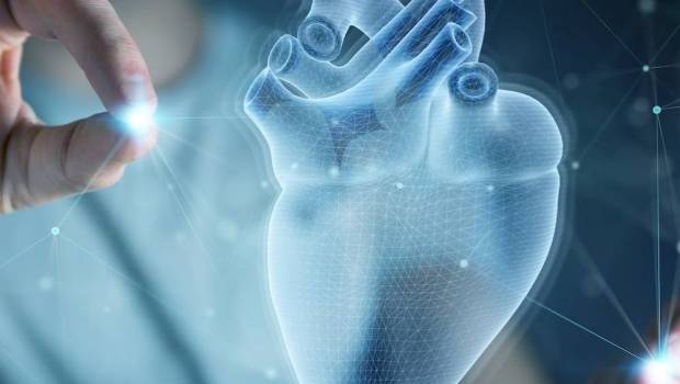 banook nouveau geant francais de la sante cardiaque