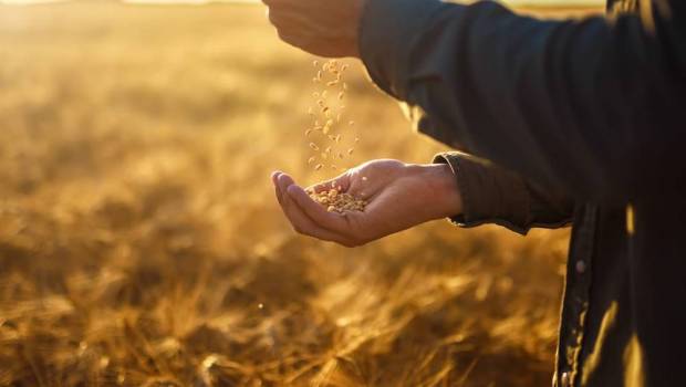 lagriculture francaise va t elle retrouver son ame