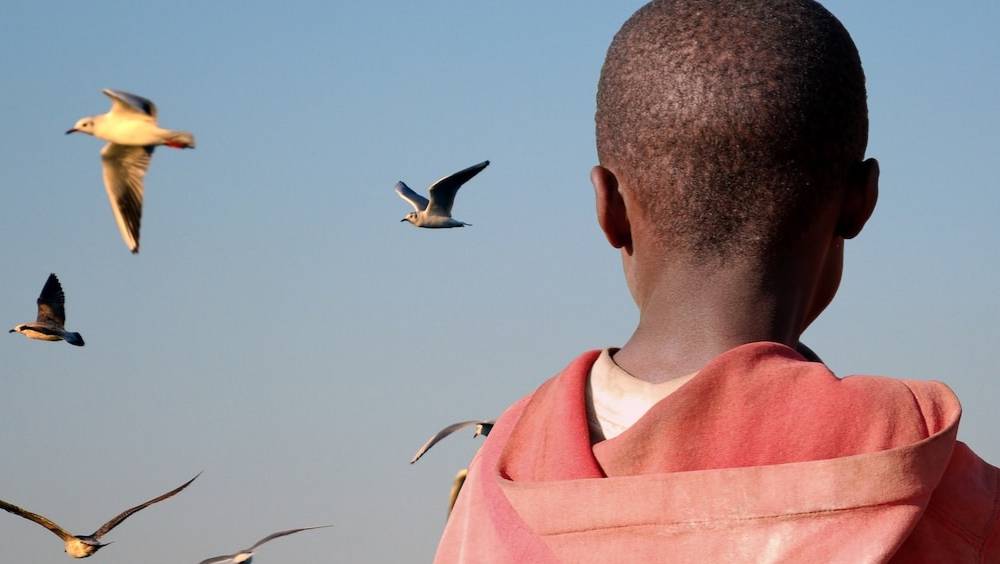 la france va t elle enfin reellement participer au developpement de lafrique