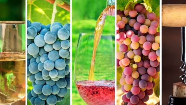 bourgogne oenotourisme