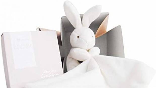 doudou et compagnie une aventure francaise