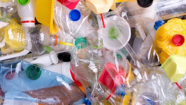 la start up greenfib va t elle sonner la fin du plastique