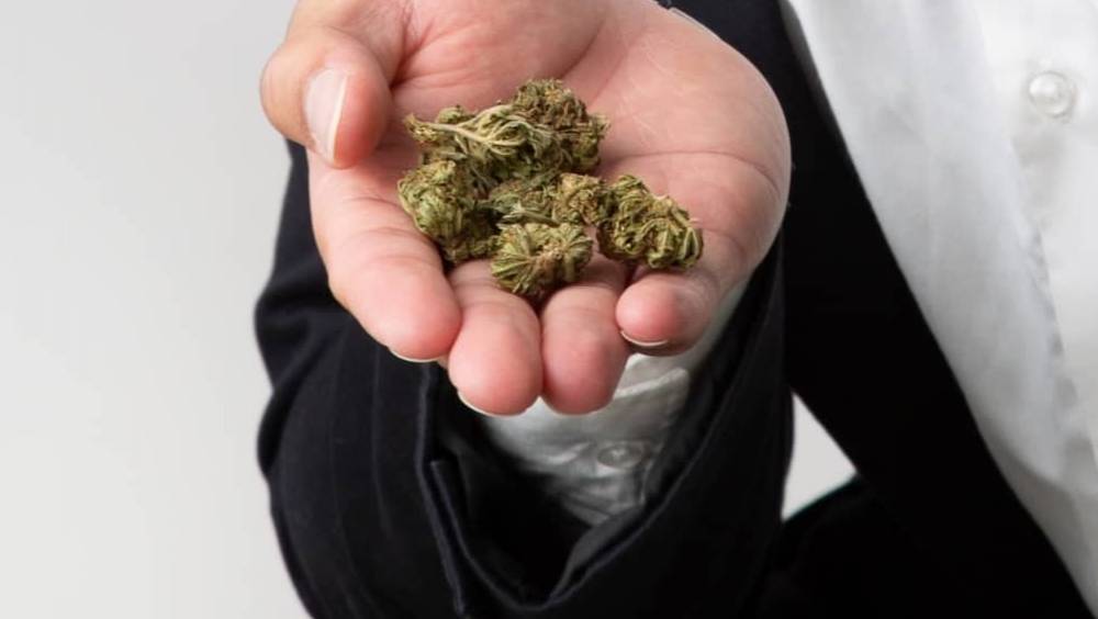 livraison de cbd en france avec space tea