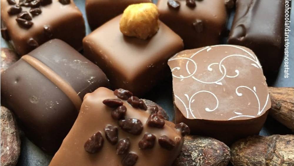 les chevaliers dargouges le made in normandie a la conquete du monde