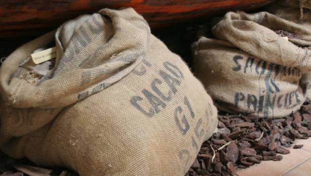 la cote divoire sattaque au defi de la transformation locale des matieres premieres